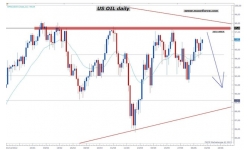 Nzd, no habrán más recortes de tipos hasta fines de año